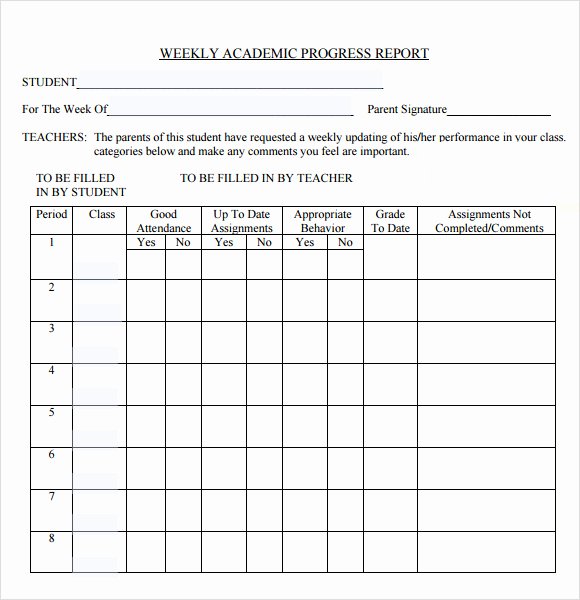 13 Sample Weekly Progress Reports