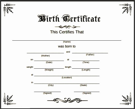 7 Birth Certificate In Ms Word Sampletemplatess