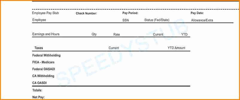7 Sample Pay Stub for 1099 Employee