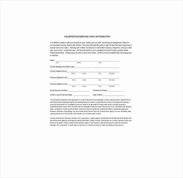 9 Background Check Information forms &amp; Templates Pdf