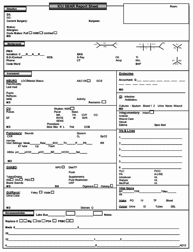 Bedside Nursing Documentation Sheet