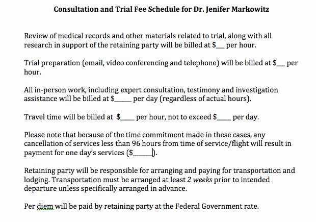 Consultant Fee Schedule Template