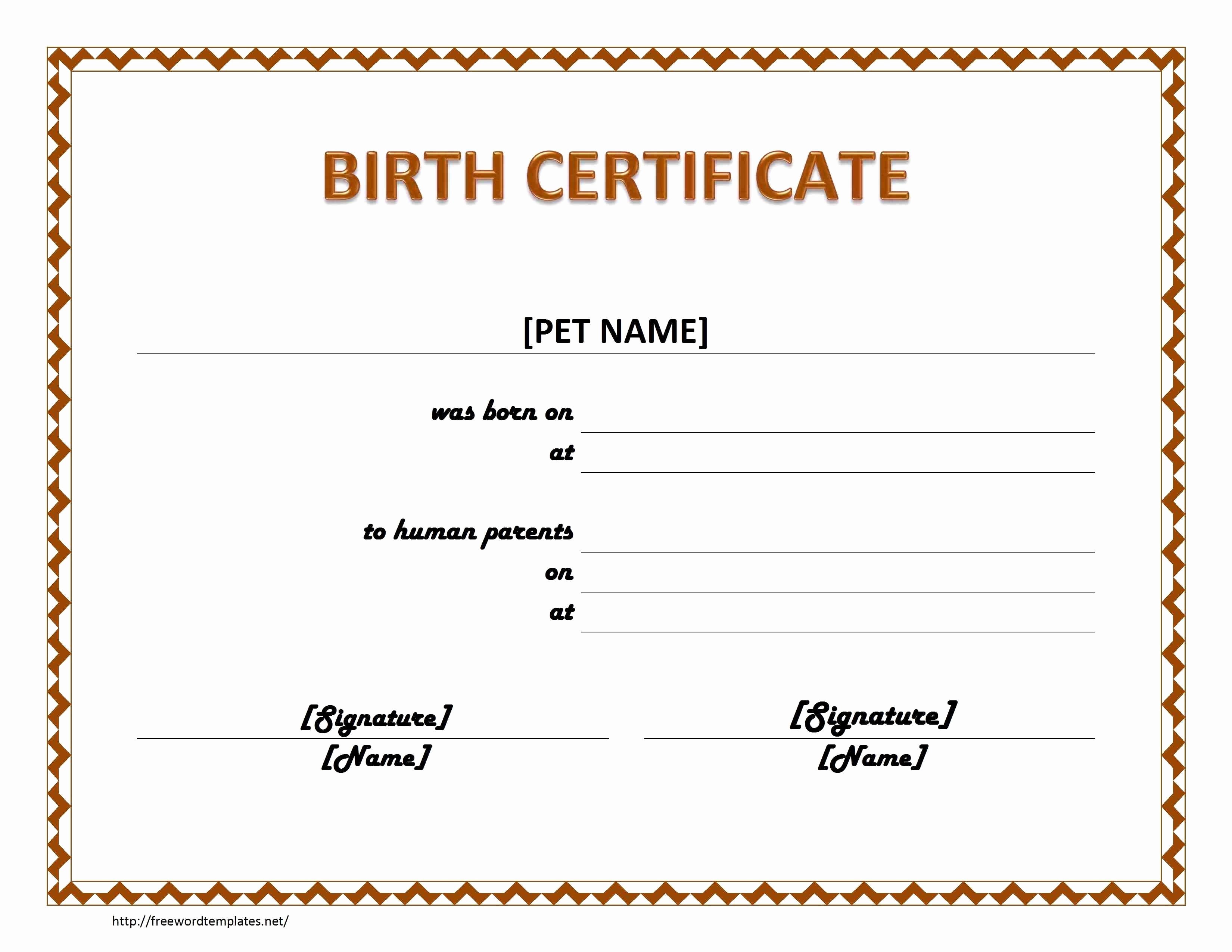 Ficial Birth Certificate Template Bamboodownunder