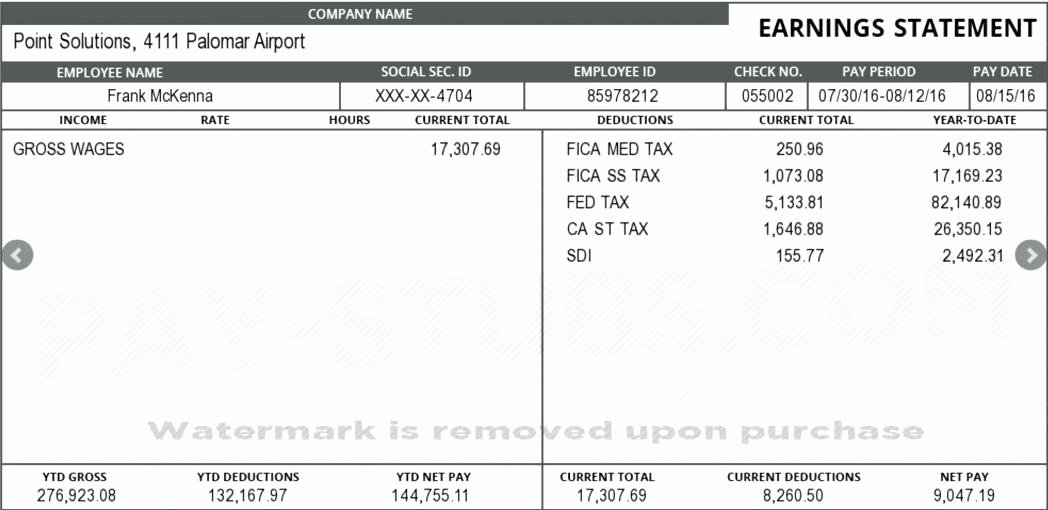 Independent Contractor Pay Stub Template Choice Image