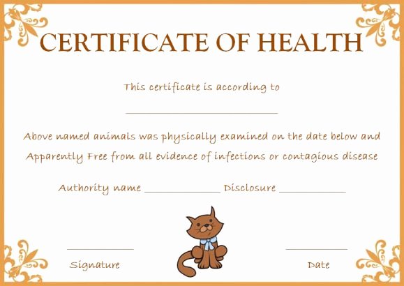Pet Health Certificate Template 9 Word Templates to