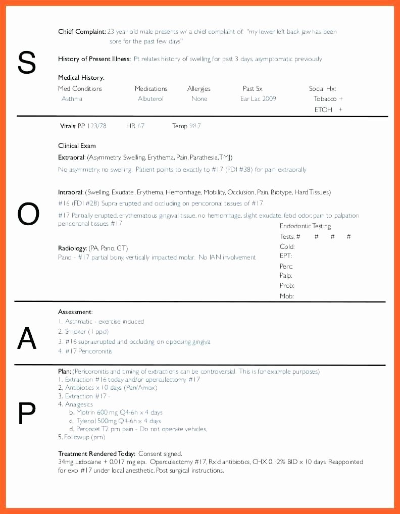 Printable Printable Chiropractic forms soap Note