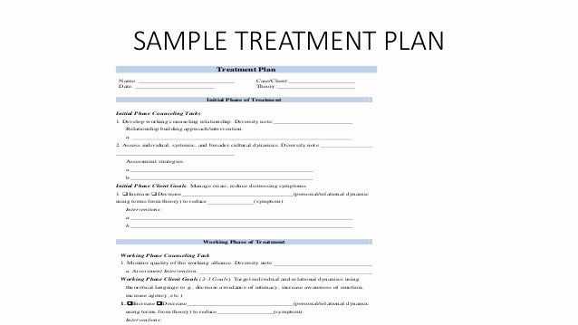 Counseling Treatment Plan Template