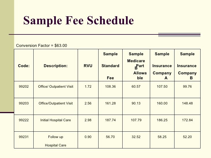 Sample Fee Schedule Template