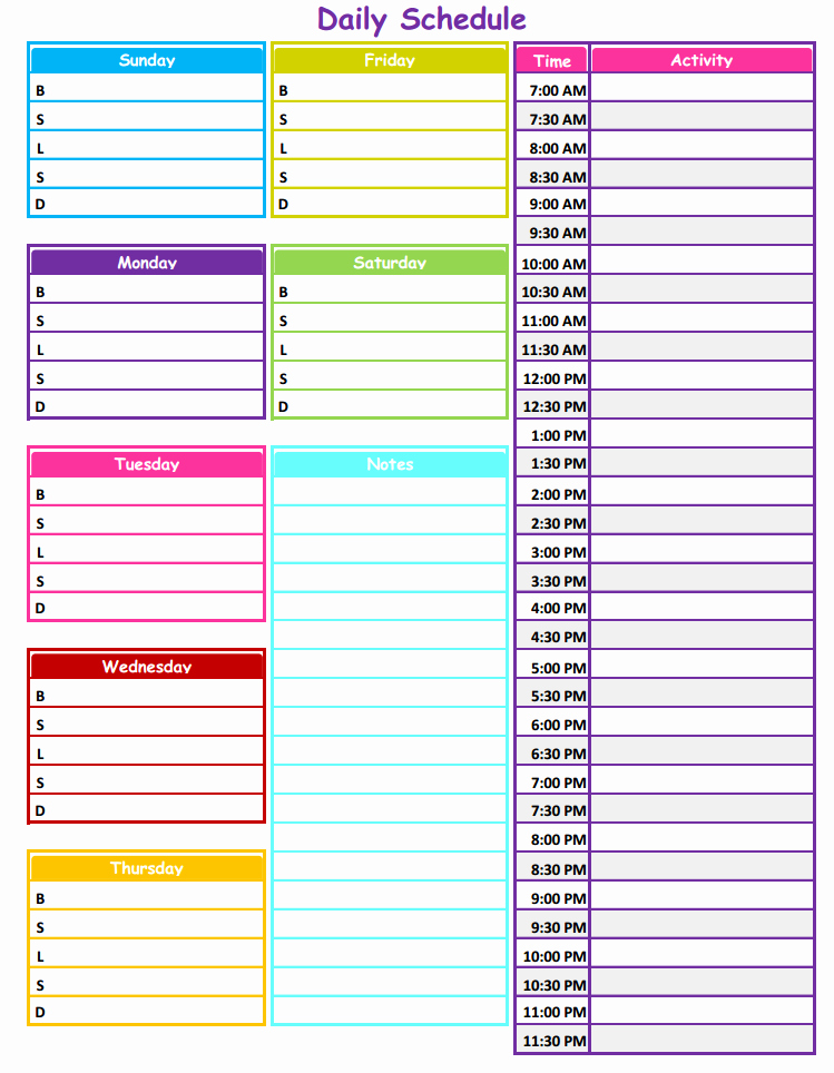 1 2 3 Neat &amp; Tidy Daily Schedule Free Printable