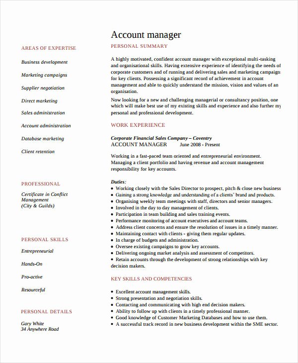 10 Account Manager Resume Templates Pdf Doc
