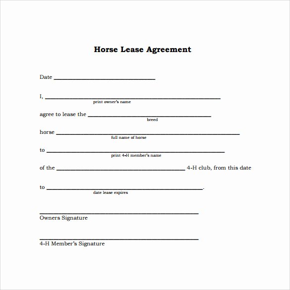 10 Horse Lease Agreement Templates