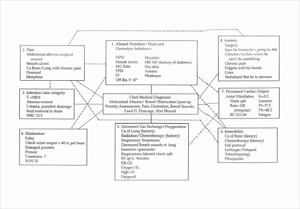 concept map template