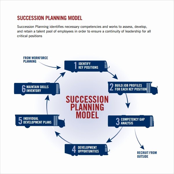 succession plan template