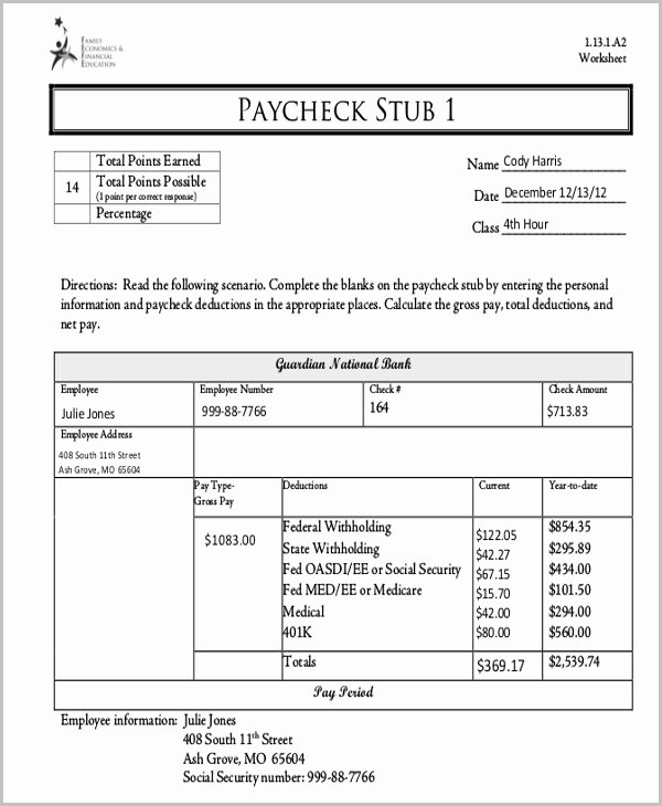 10 Types Of Check Stub Templates
