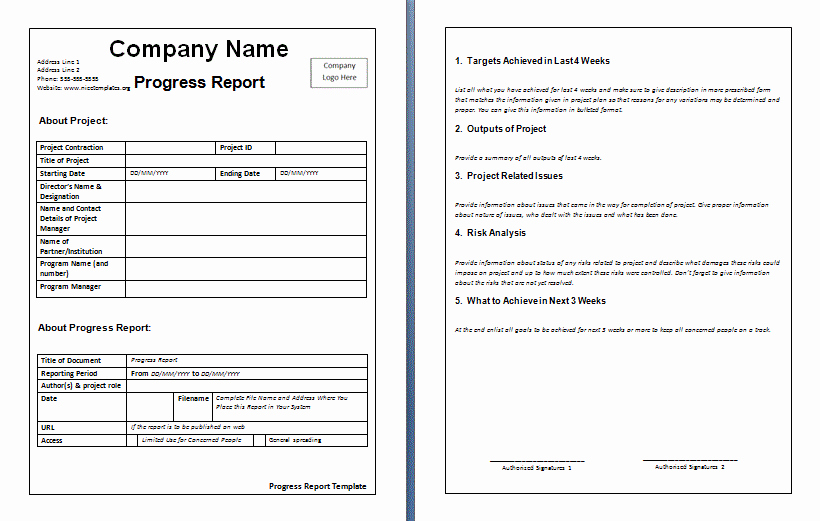 10 Weekly Report Templates