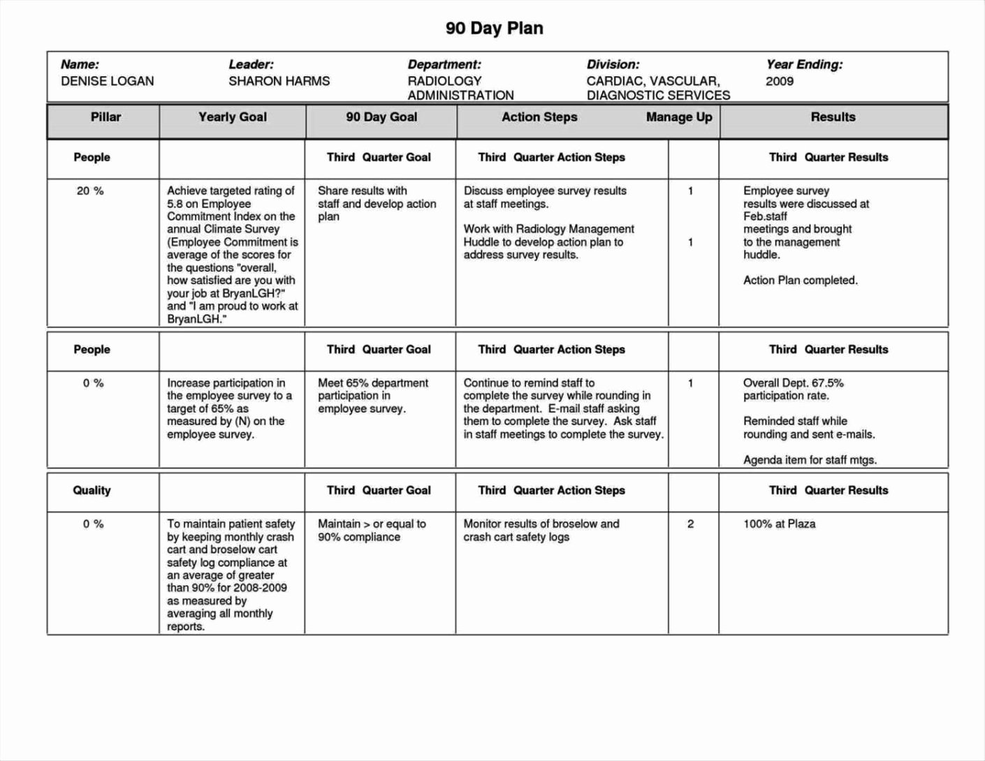 100 Day Plan Template Excel Sampletemplatess