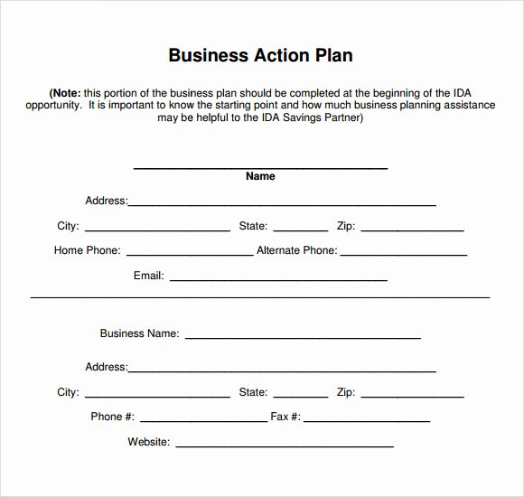 11 Sample Business Action Plans