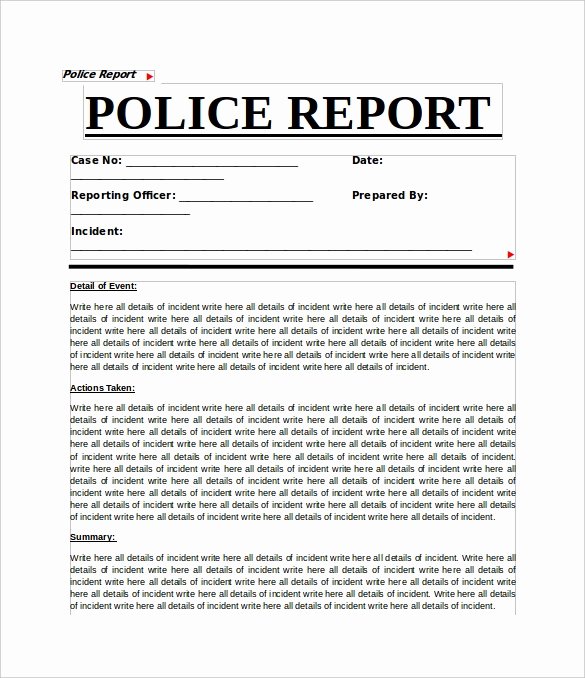 11 Sample Crime Reports – Pdf Word