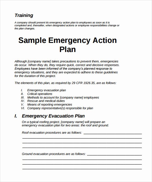 11 Sample Emergency Action Plan Templates