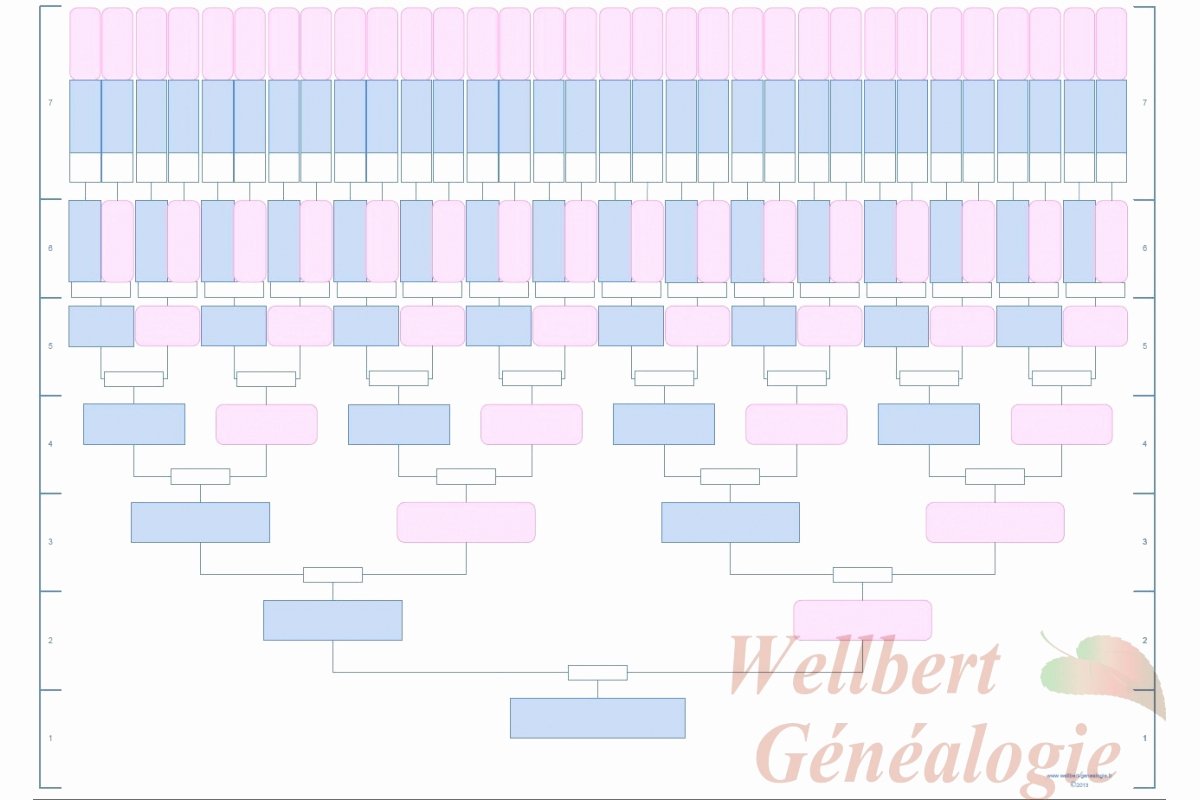 12 Generation Family Tree Template Templates Data