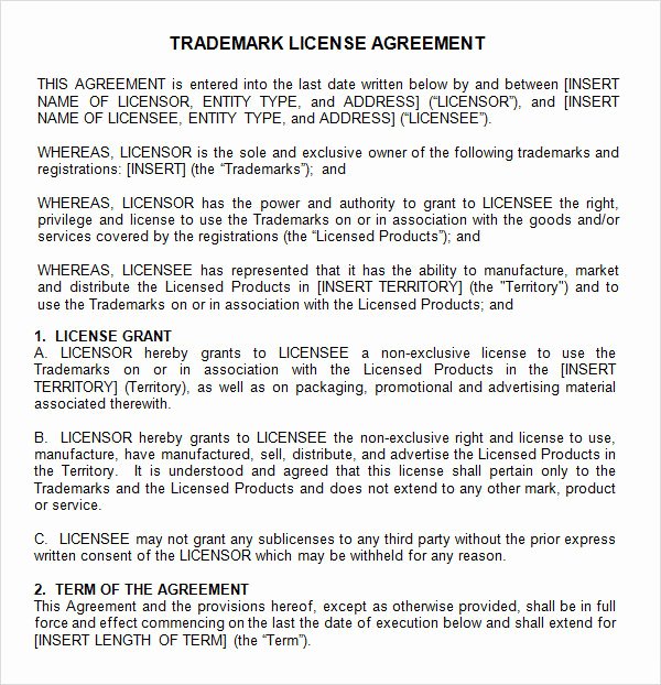 12 License Agreement Templates Download for Free