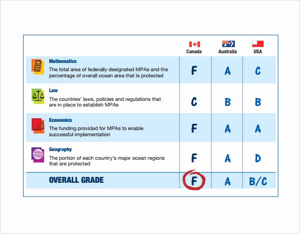 12 Progress Report Card Templates to Free Download