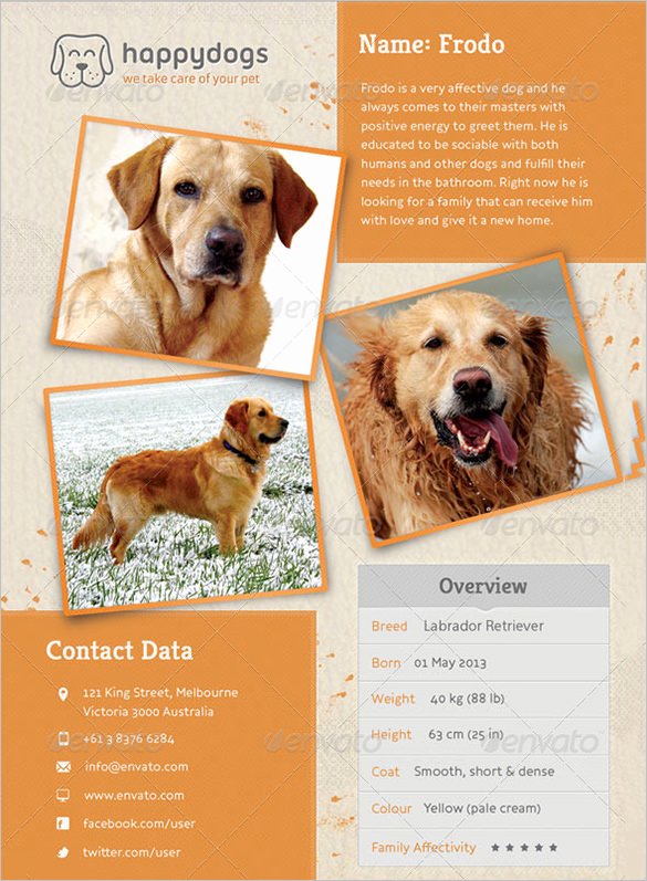 12 Psd Lost Dog Flyer Templates