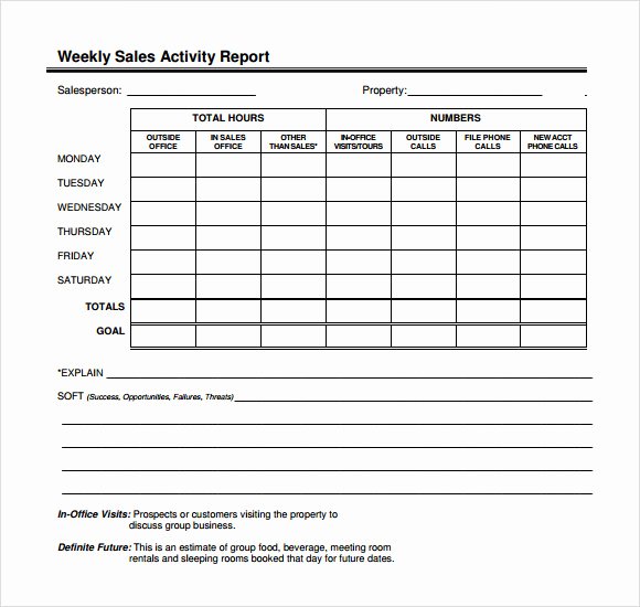 12 Sales Call Report Sample – Free Examples &amp; format