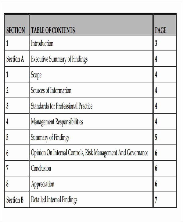 12 Sample Internal Audit Reports – Word Pdf Pages
