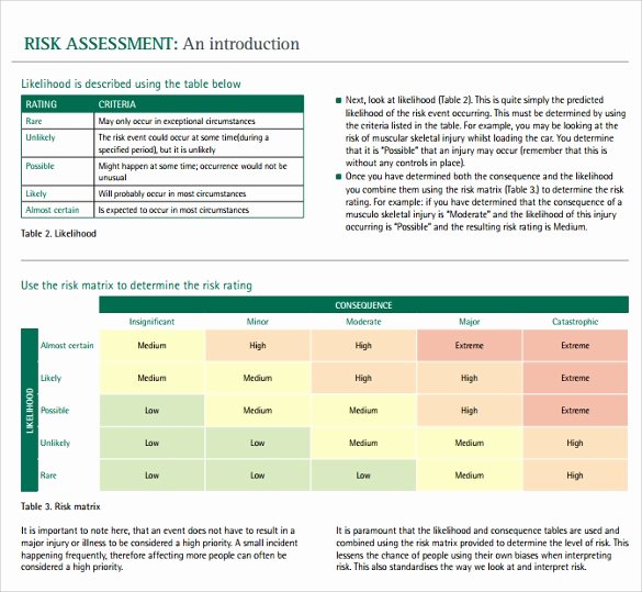 12 Sample It Risk assessment Templates