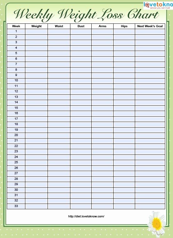 weight loss log templates