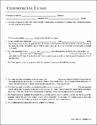 13 Mercial Lease Agreement Templates Excel Pdf formats