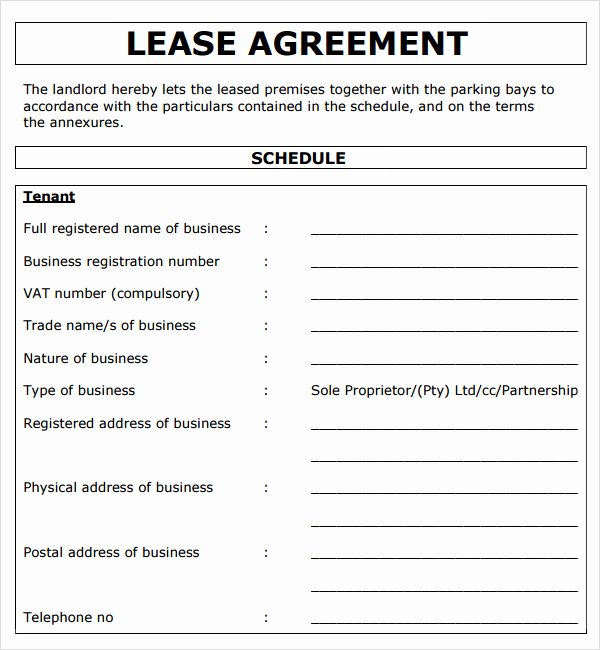 13 Mercial Lease Agreement Templates Excel Pdf formats