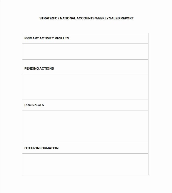 sales report template