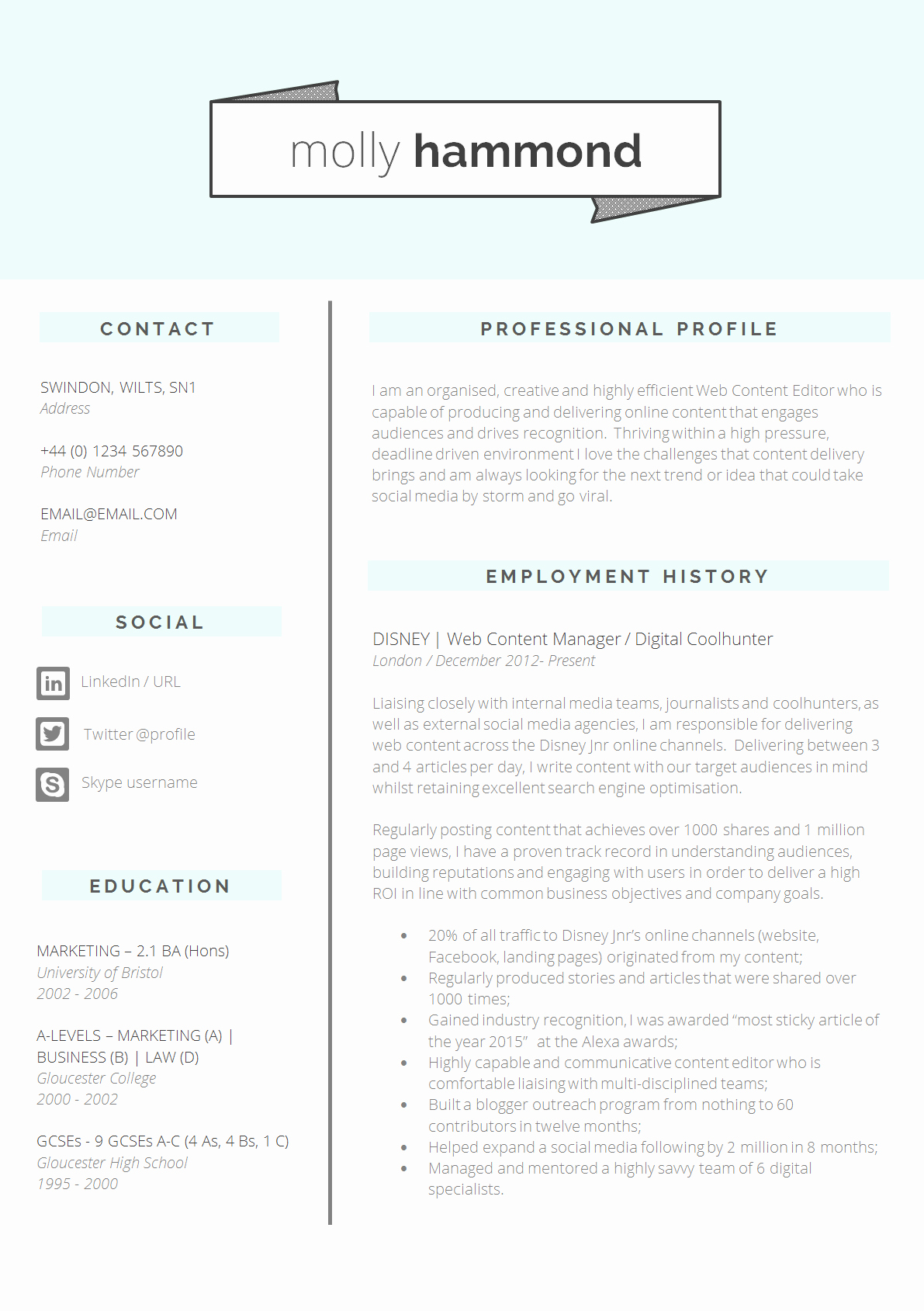13 Slick and Highly Professional Cv Templates