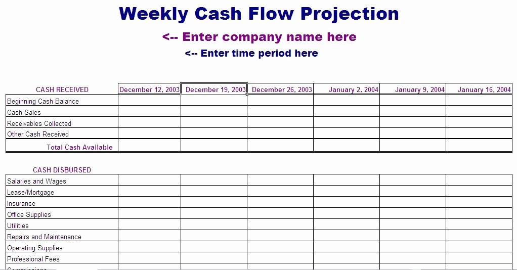 13 Week Cash Flow Statement