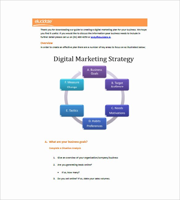 14 Digital Marketing Plan Templates Doc Pdf