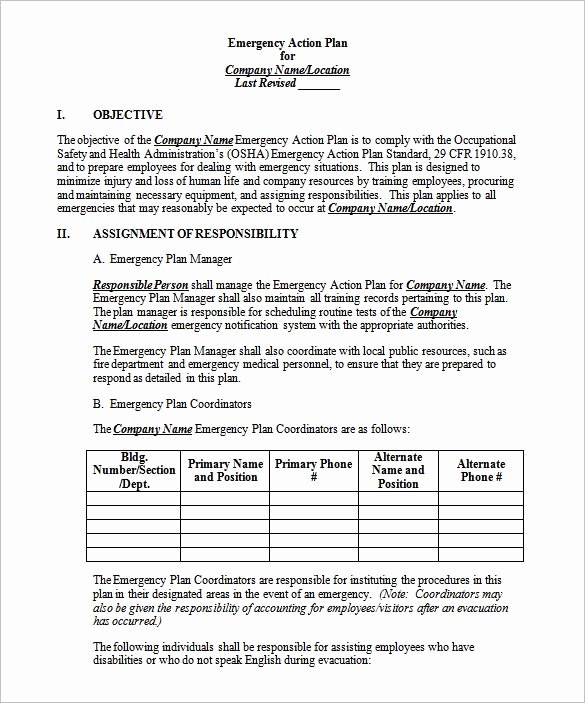 emergency action plan template