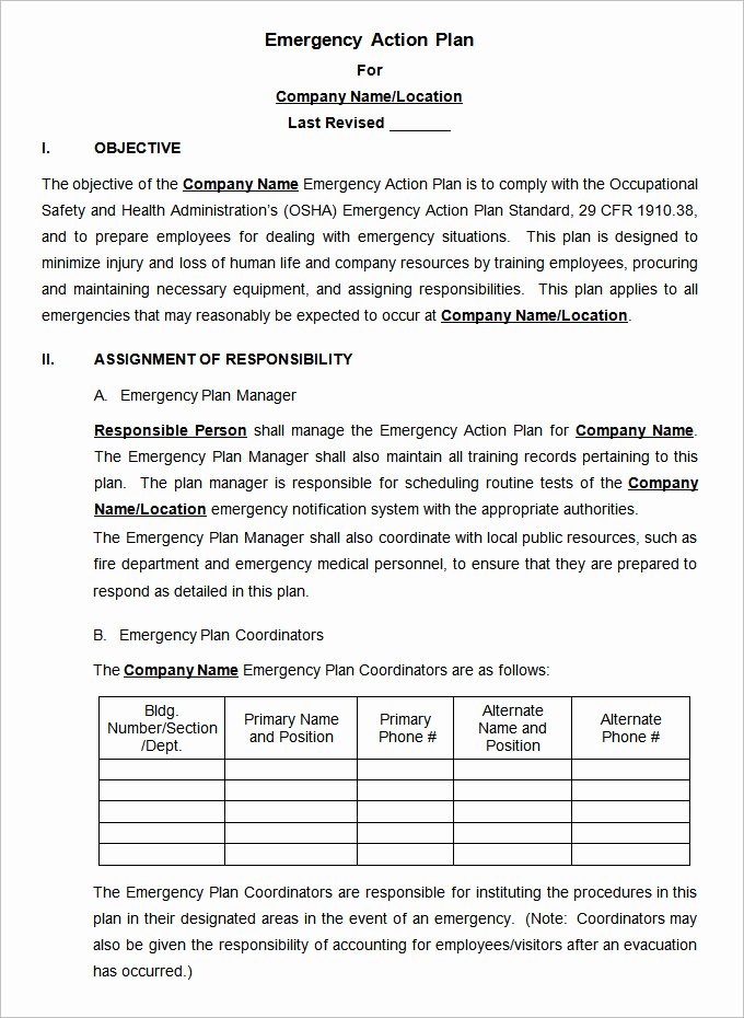 14 Emergency Action Plan Template Word Excel Pdf