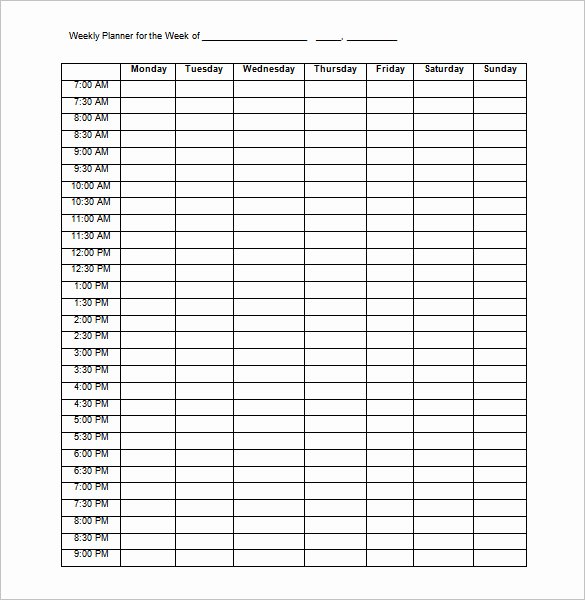 14 Family Schedule Templates Word Pdf