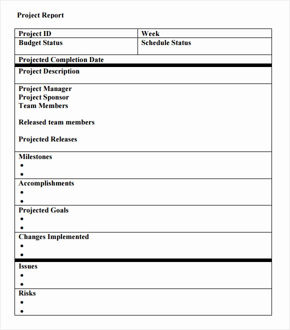 14 Sample Project Status Reports – Pdf Word Pages