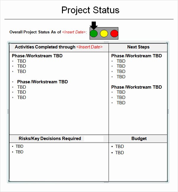 14 Sample Useful Project Status Report Templates