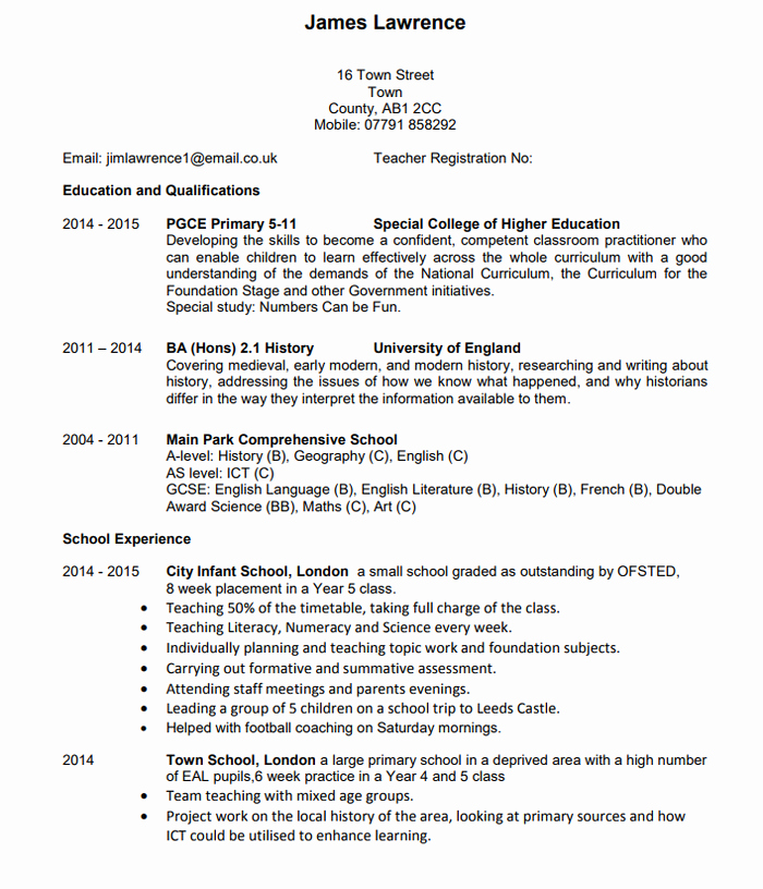 best cv examples