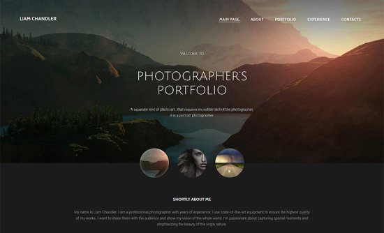 15 Stylish Design and Graphy Website Templates