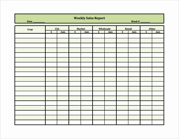 15 Weekly Report Templates – Free Samples Examples