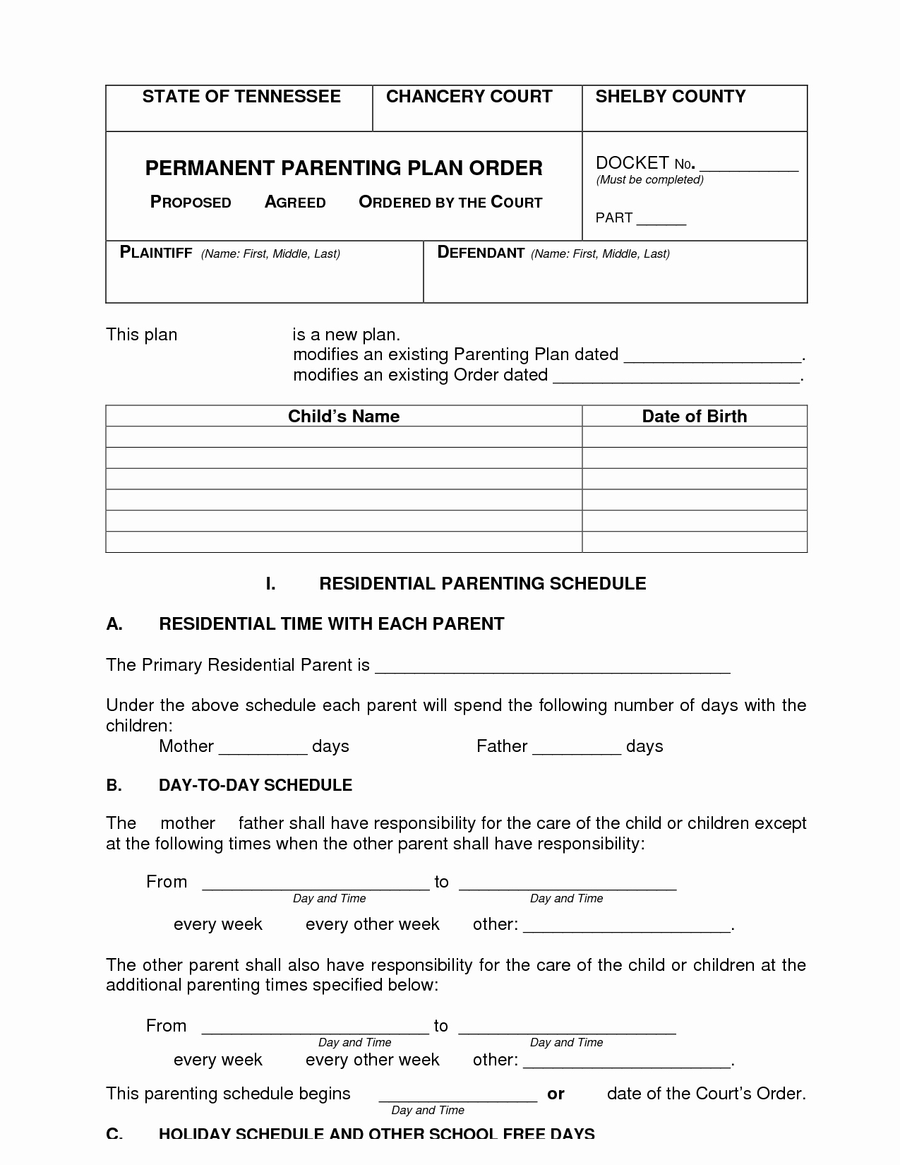 Co Parenting Plan Template