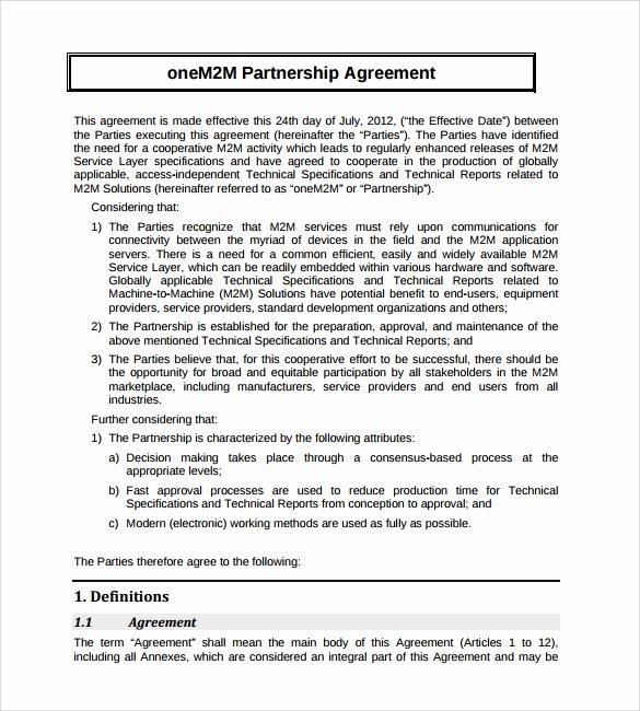 16 Partnership Agreement Templates
