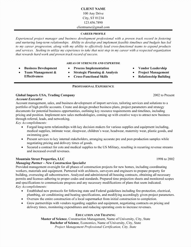 17 Best Ideas About Professional Resume Examples On