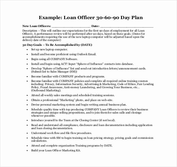 19 30 60 90 Day Action Plan Template Free Pdf Word