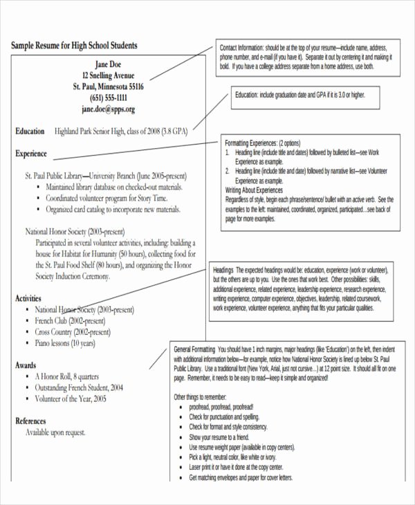 19 Basic Resume format Templates Pdf Doc